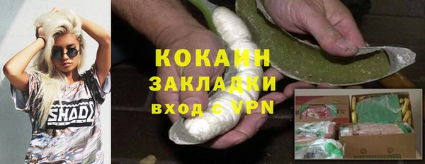 индика Бугульма