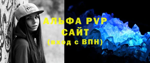 индика Бугульма