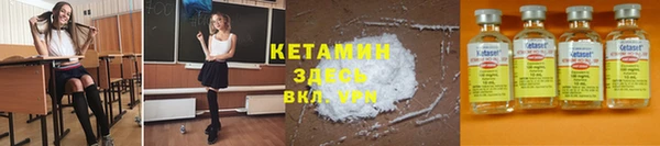 дмт Бородино