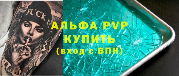 индика Бугульма