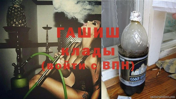 дмт Бородино