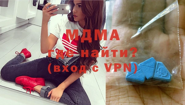 дмт Бородино