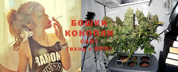 индика Бугульма