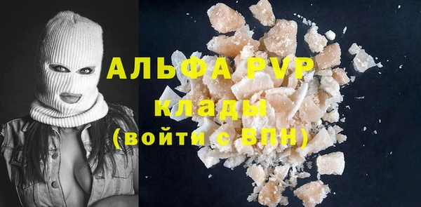 дмт Бородино