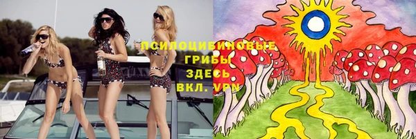 дмт Бородино