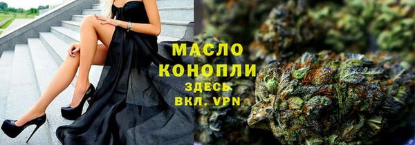 дмт Бородино