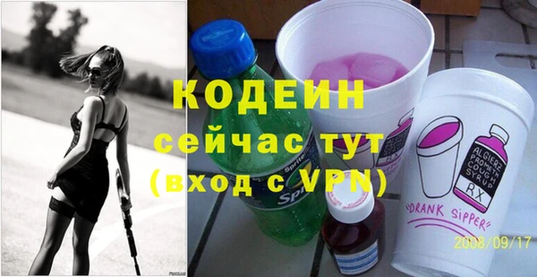 индика Бугульма