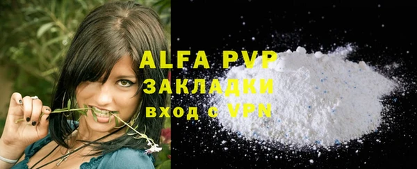 индика Бугульма