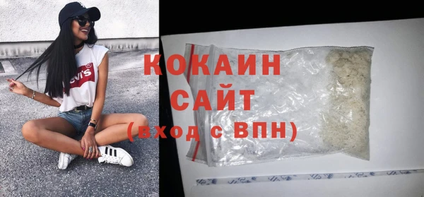 дмт Бородино