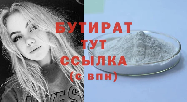 дмт Бородино