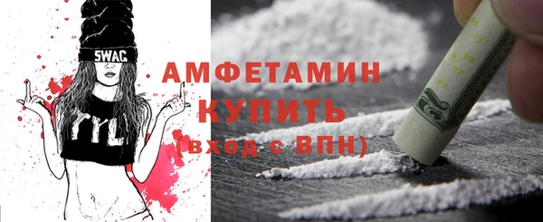 дмт Бородино