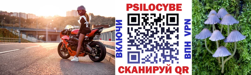 где купить   Данилов  Галлюциногенные грибы Psilocybine cubensis 